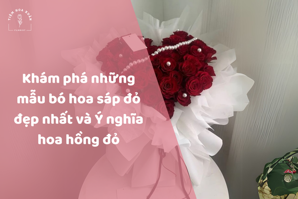 Bìa bó hoa sáp đỏ