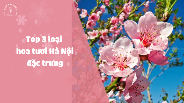 hoa tươi hà nội