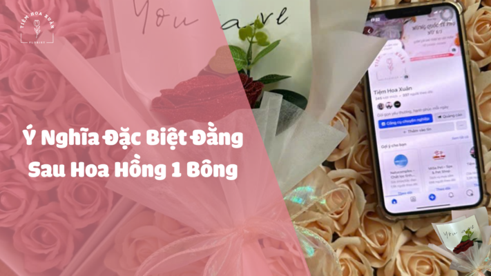 Hoa Hồng 1 Bông