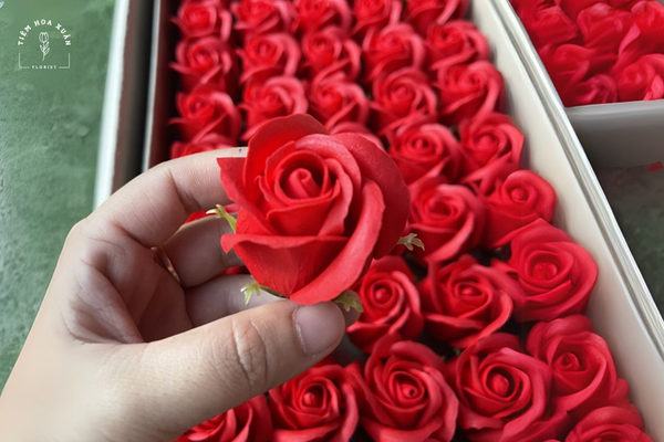 Kiểm tra hoa sáp thường xuyên